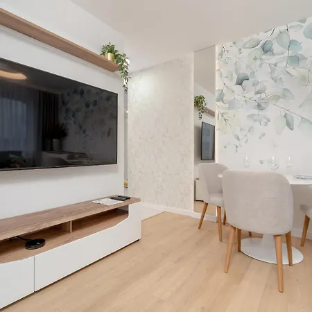 Bright With Spacious Balcony And Air Conditioning By Renters *